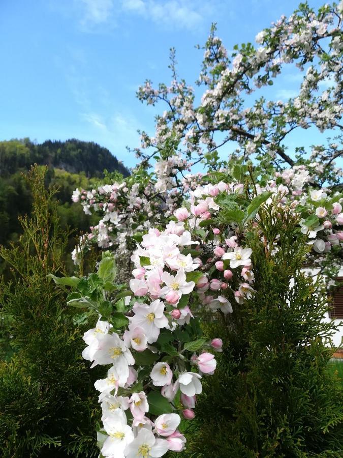 Appartementhaus Grill Strobl Εξωτερικό φωτογραφία